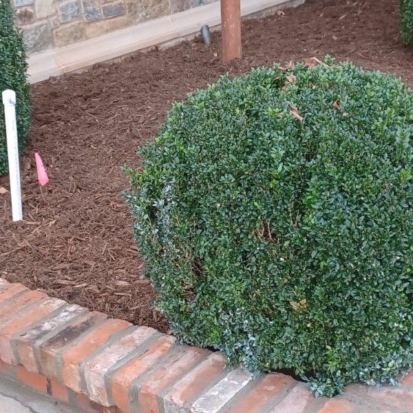 Ph Clt Construction And Clean LLC