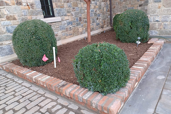 Image Ph Clt Construction And Clean LLC